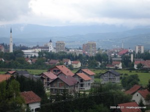 Pogled